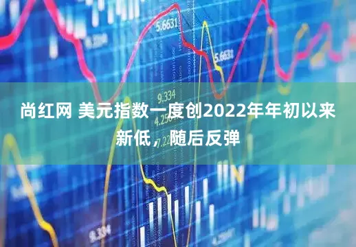 尚红网 美元指数一度创2022年年初以来新低，随后反弹