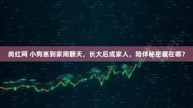 尚红网 小狗崽到家闹翻天，长大后成家人，陪伴秘密藏在哪？
