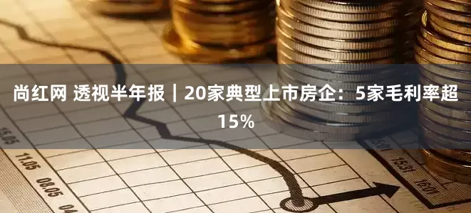 尚红网 透视半年报｜20家典型上市房企：5家毛利率超15%